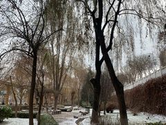 -水车博览园
