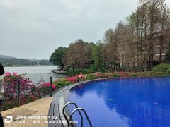 -白云湖畔酒店-湖畔餐厅