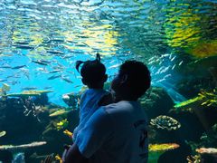 -华夏文旅海洋公园