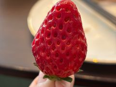 -紫丁香饭店-中餐厅