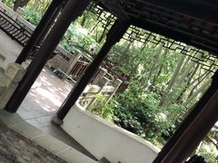 -上海佘山国家森林公园天马山园