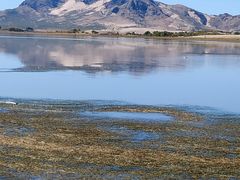 景点-玉龙沙湖景区