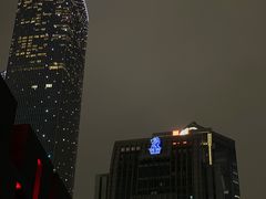 -广州富力丽思卡尔顿酒店