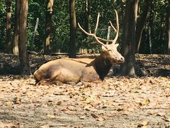 -溱湖国家湿地公园