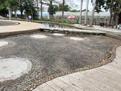 -光明农场大观园