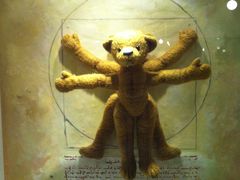 -济州岛泰迪熊博物馆