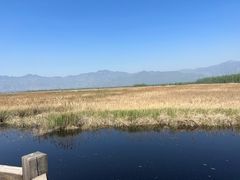 -野鸭湖国家湿地公园