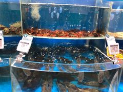 -7fresh七鲜(大族广场店)
