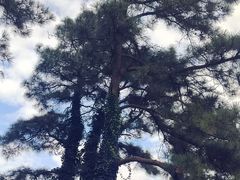 -敬亭山风景名胜区