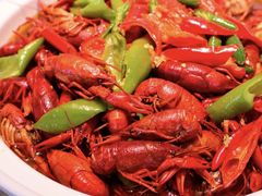 -嘉定凯悦·咖啡厅