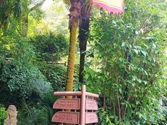 -十八棵（老龙井）御茶园(老龙井店)