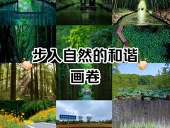 -同里国家湿地公园