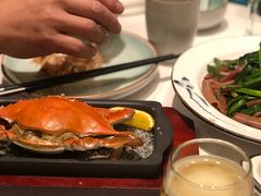 -海派美食·家宴海鲜青岛菜·石锅鲽鱼头(东方城店)