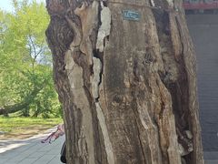 -沈阳市东陵公园