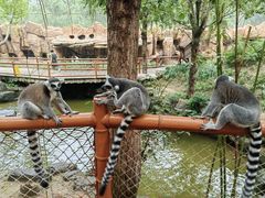 -北京野生动物园