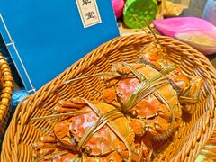 -莲花岛景区