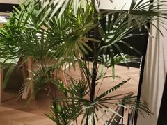 -鑫花溪牛肉米粉(凤凰街创始总店)