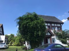 -太阳岛度假酒店