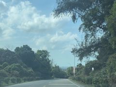 -海口火山口国家地质公园