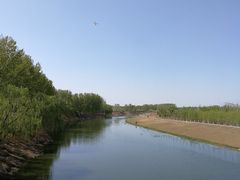 -东郊湿地公园