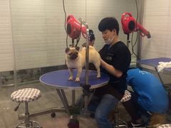 -PETKIT小佩宠物(古北店)