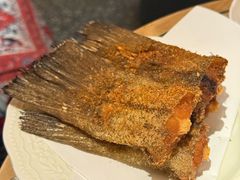 -阿里家·新疆烤肉酒場