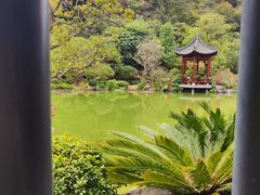 -云溪植物园