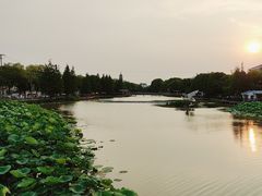 -常熟方塔园