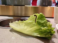 -大橘元自助回转火锅(乐峰广场店)