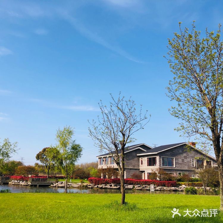 顺带去了樱花园。去的时候樱花还没完全绽放