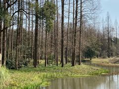 -杭州植物园