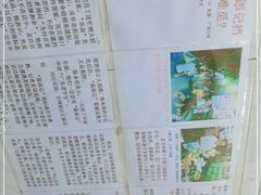 -陈添記·祖傳爽鱼皮·西关老字号(广州首店)