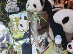 -轩客会(熊猫书店)