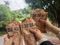 -仙岳公园
