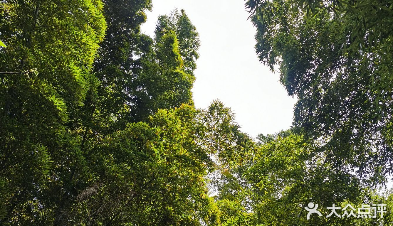 樹山生態村,真的是原生態