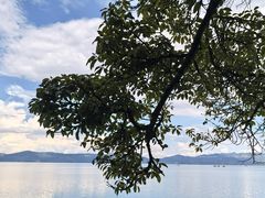 -抚仙湖禄充风景区