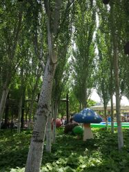 -大望京儿童游乐场