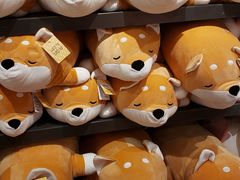 -酷乐潮玩(五道口购物中心店)