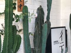 -彳亍咖啡·这里(水湾路店)
