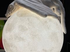 -drivepro(三里屯店)