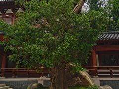 -径山寺