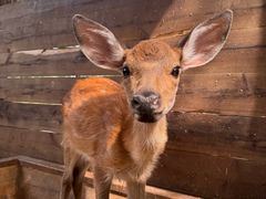 -南戴河国际娱乐中心