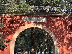 -灵谷景区
