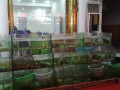 -四海鲜渔家菜(黄金海岸店)