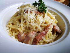 -百好乐宠物友好餐厅(朝外大街店)