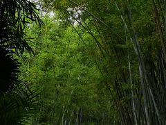 -晓港公园
