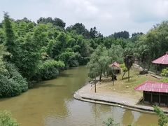 -贵州森林野生动物园