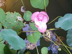 -苏州东山雕花楼宾馆