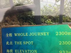 -七仙岭温泉国家森林公园