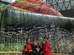 -花之城